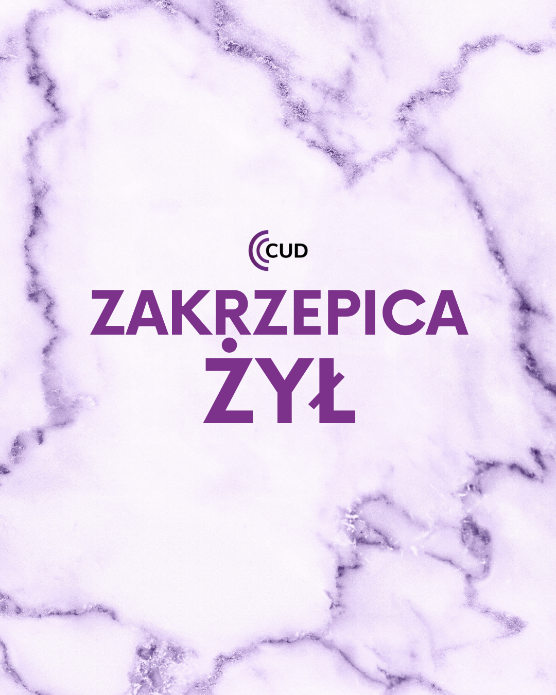 Zakrzepica żylna – cichy przeciwnik. Jak rozpoznać objawy i chronić swoje nogi?